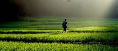 vayal veedu